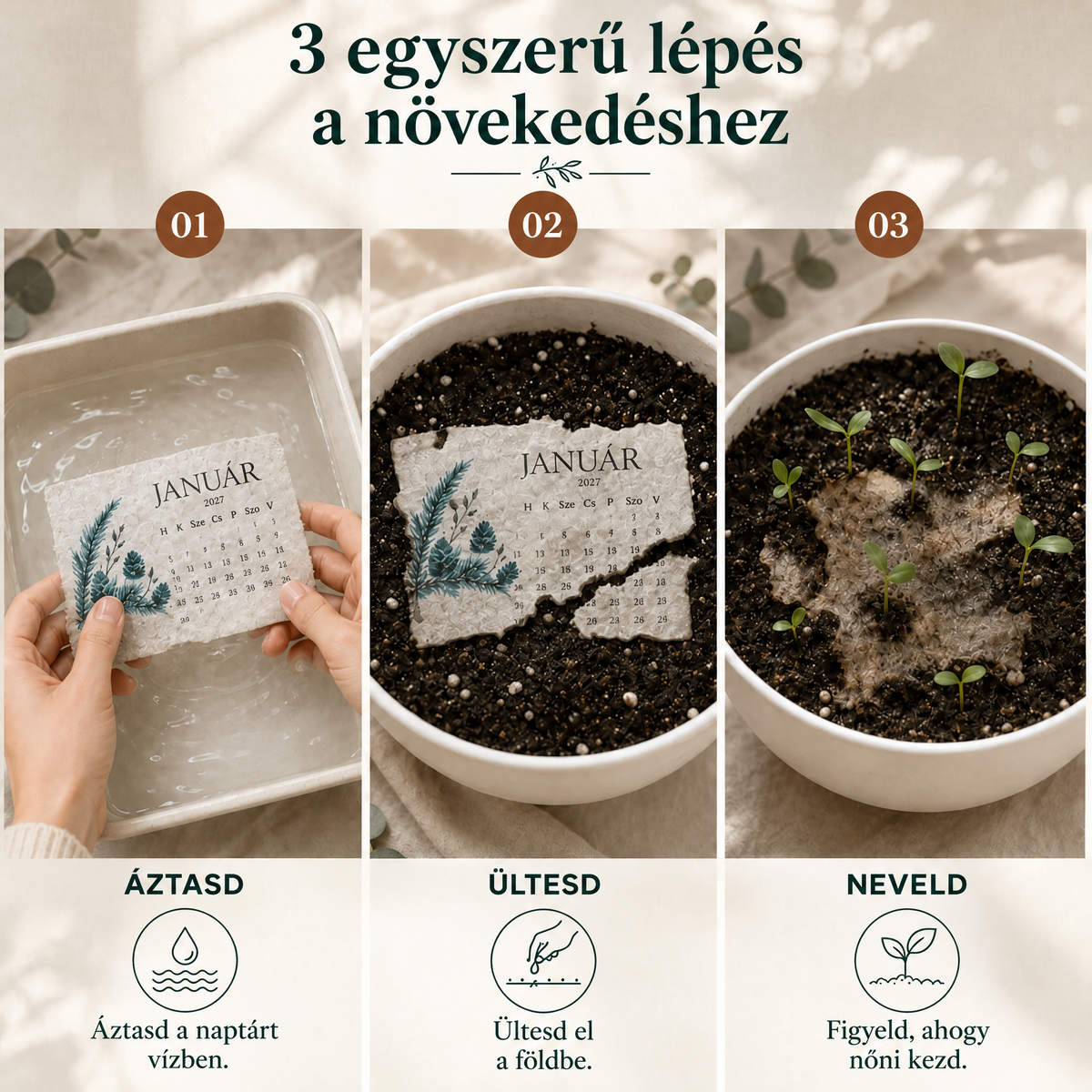 🌱 2027-es ültethető magnaptár🍋 – Egy évnyi szépség, új élet minden lapban! 🌸🎁