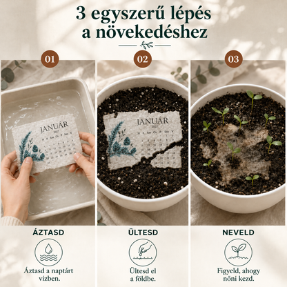 🌱 2027-es ültethető magnaptár🍋 – Egy évnyi szépség, új élet minden lapban! 🌸🎁